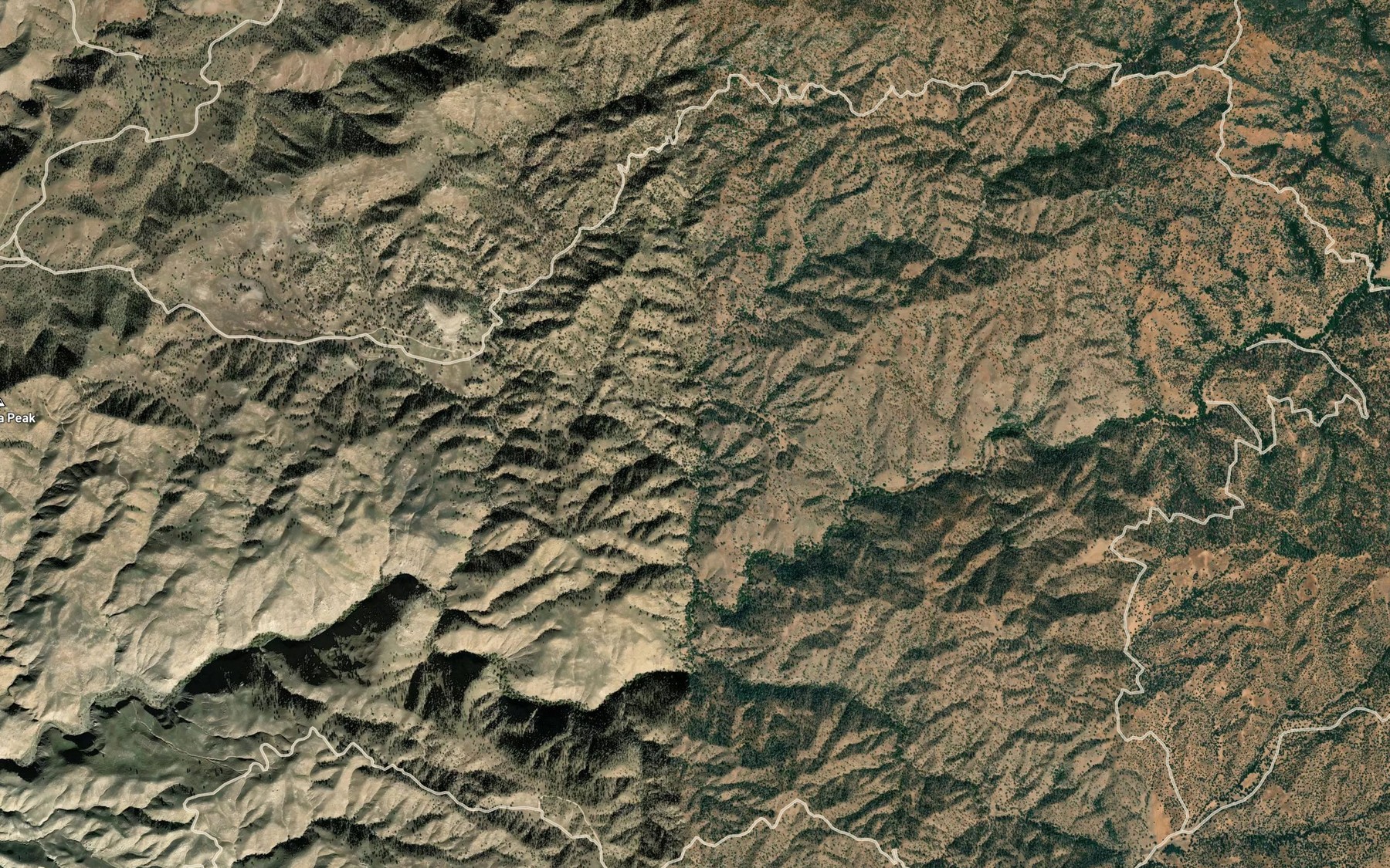Satellite map of the Placeritas Spring