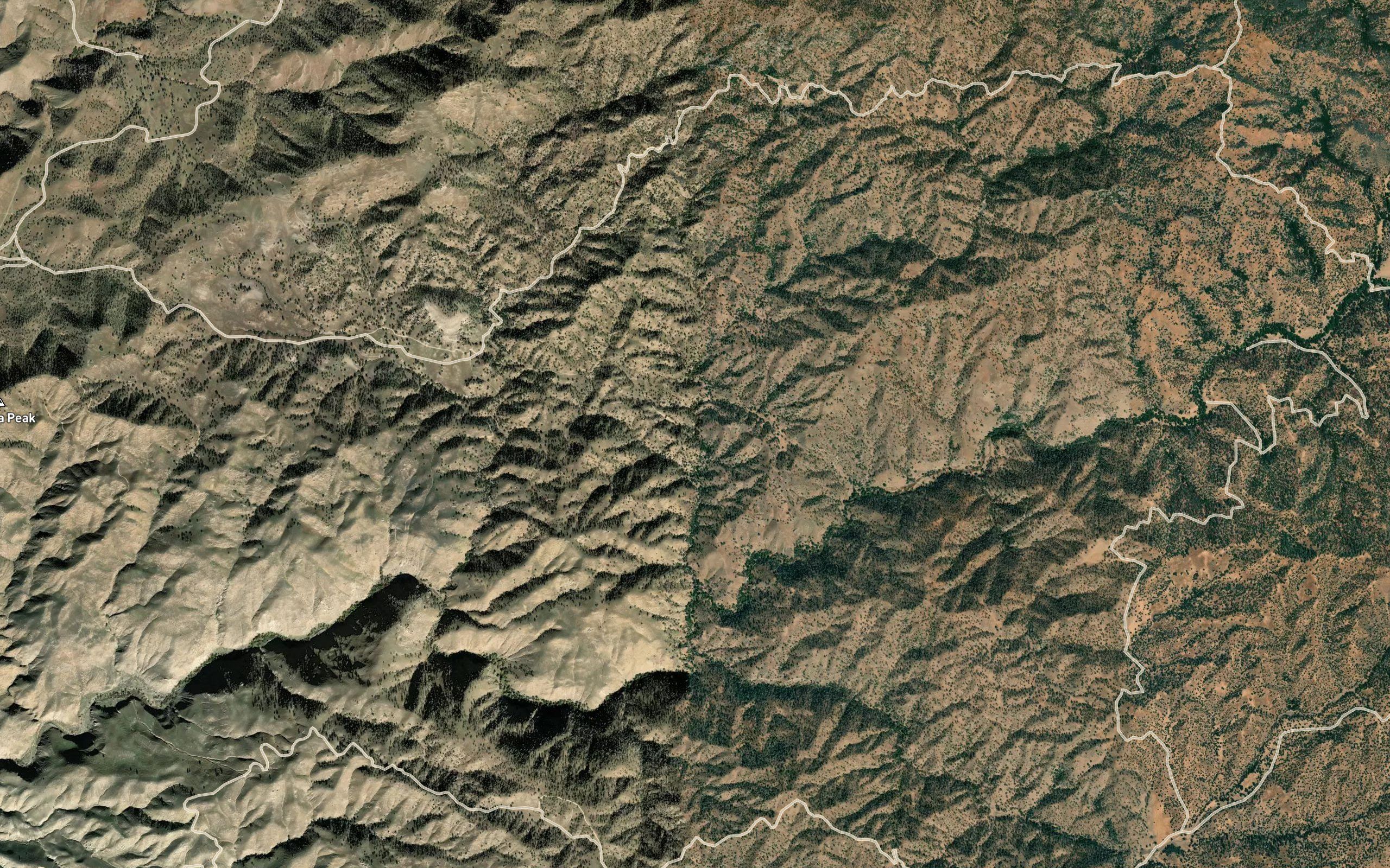 Placeritas Spring