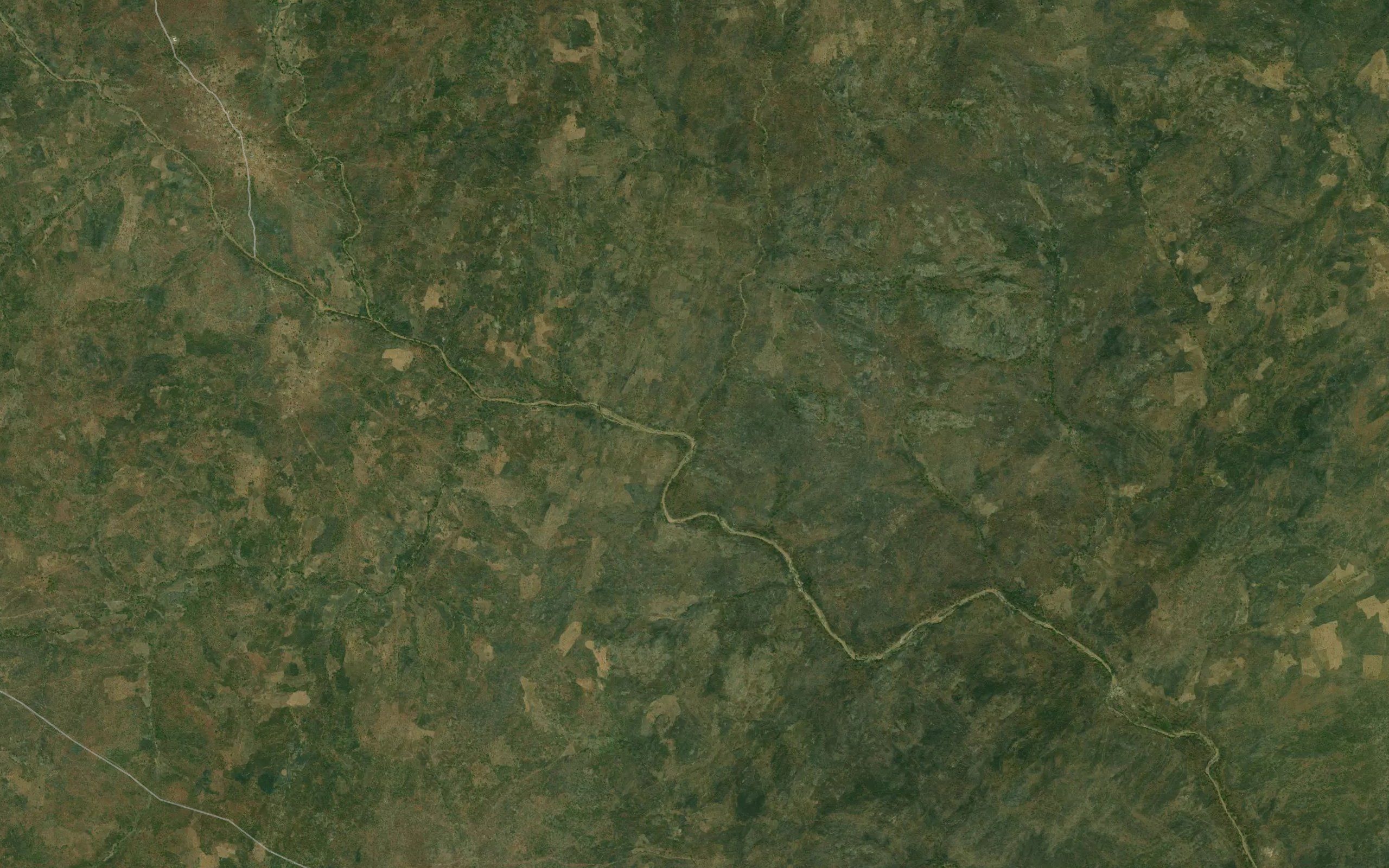 Dongulekombor
