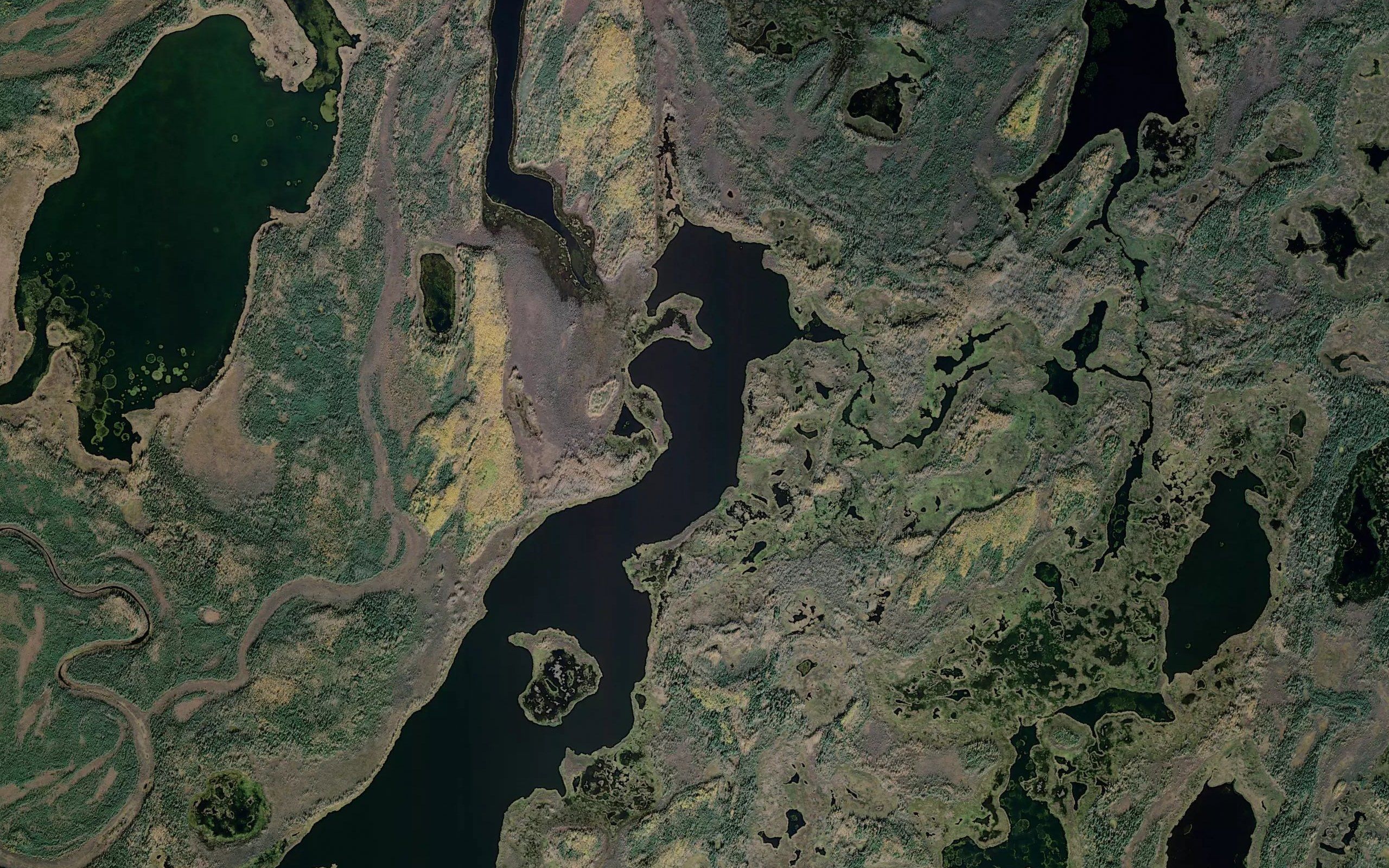 Big Lake