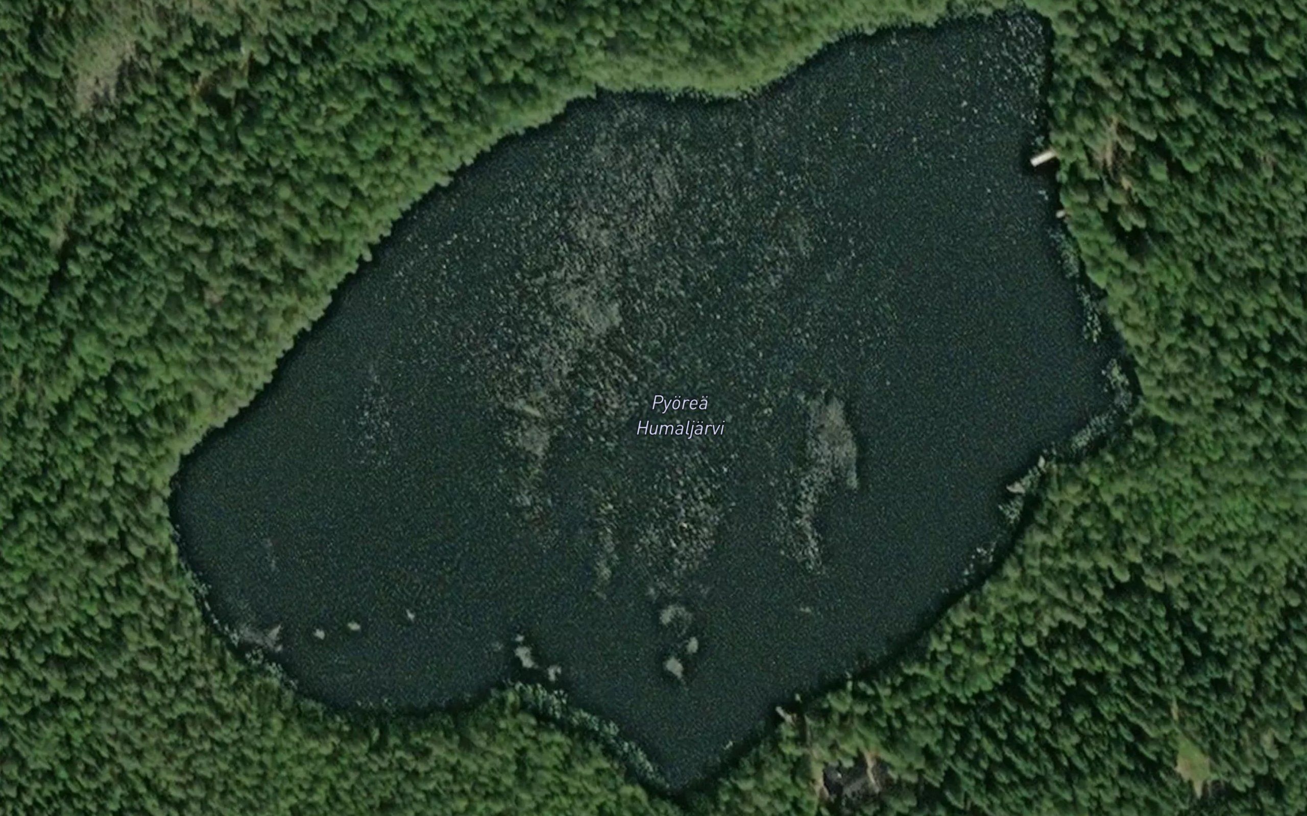 Pyorea Humaljarvi