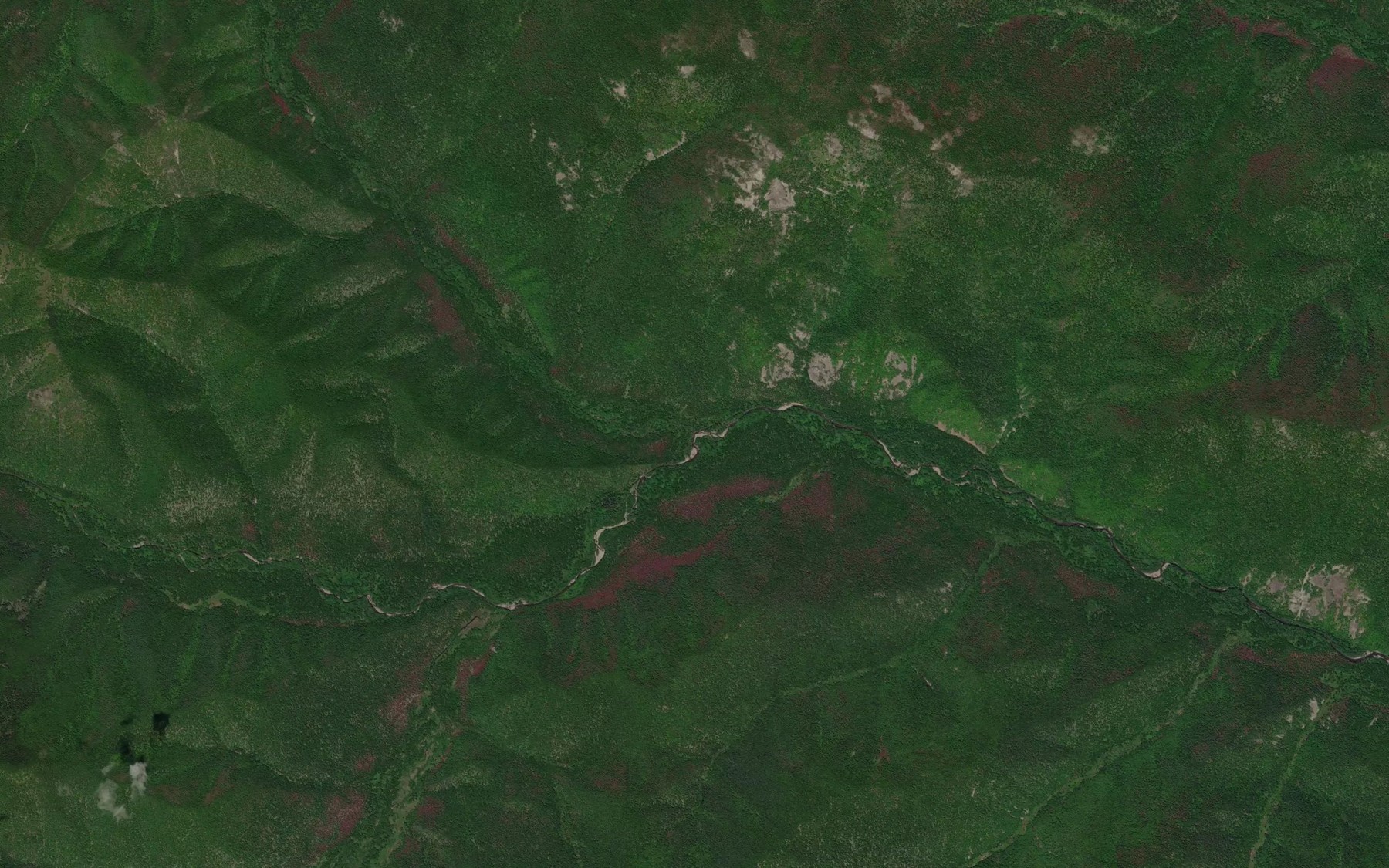 Satellite map of the Vstrechnyy