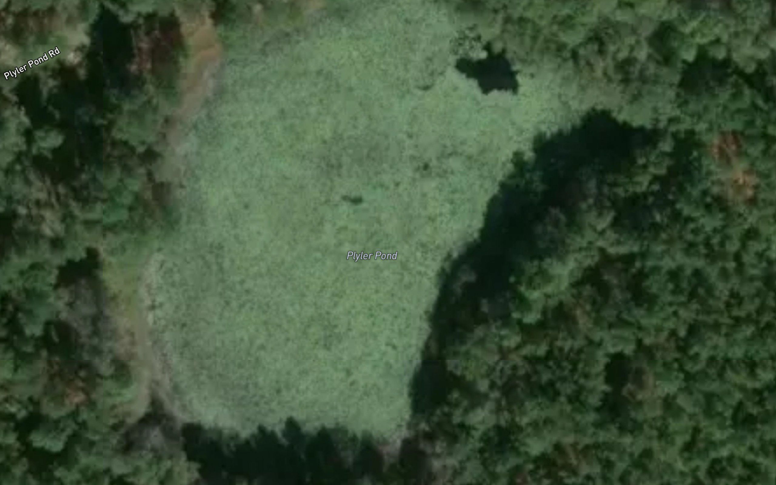 Plyler Pond