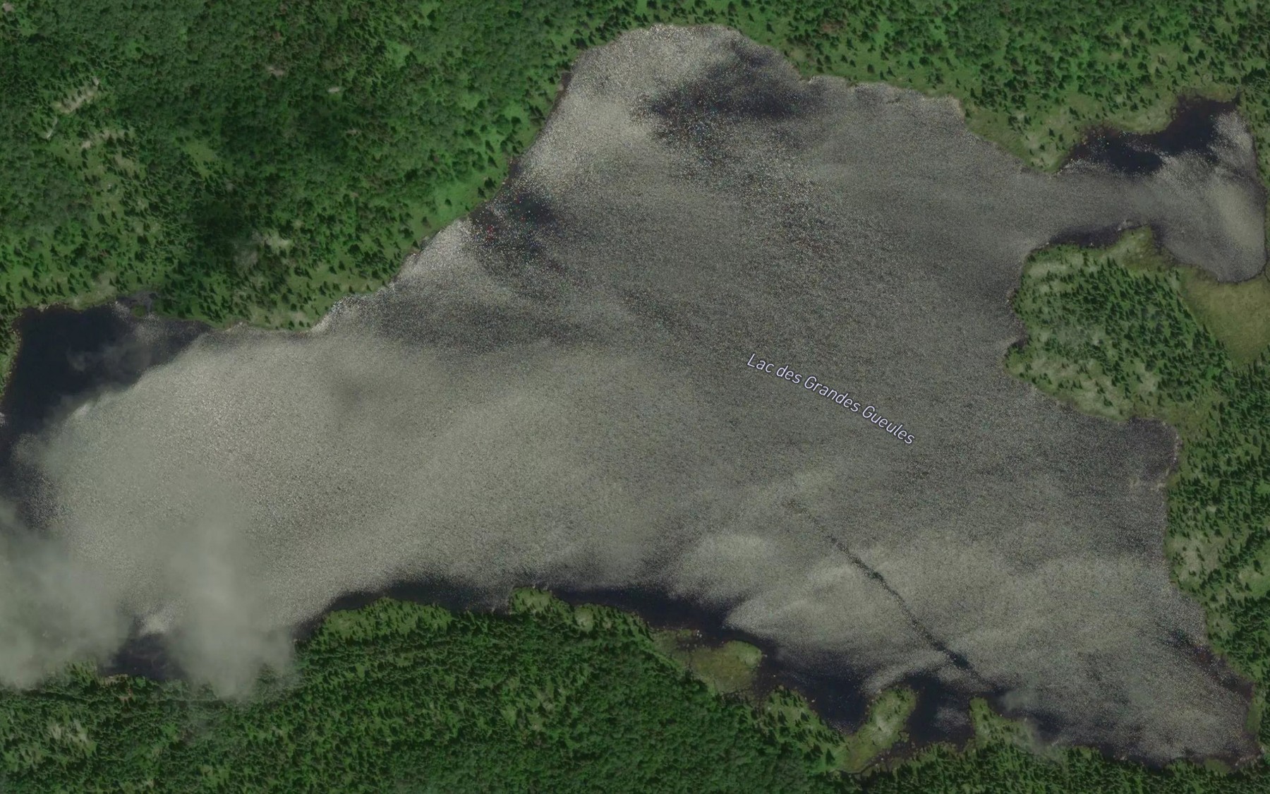 Satellite map of the Lac des Grandes Gueules