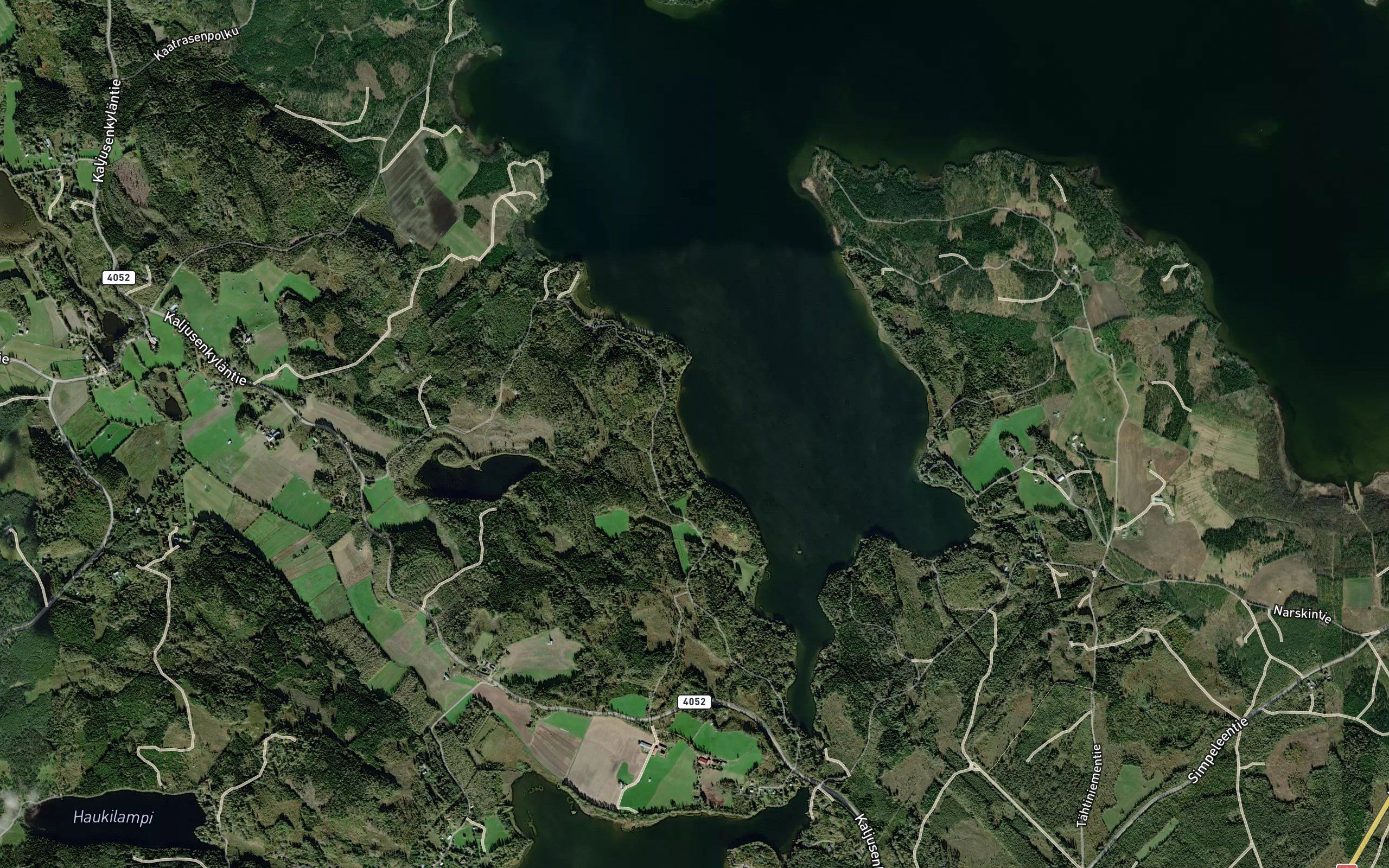 Ronalahti