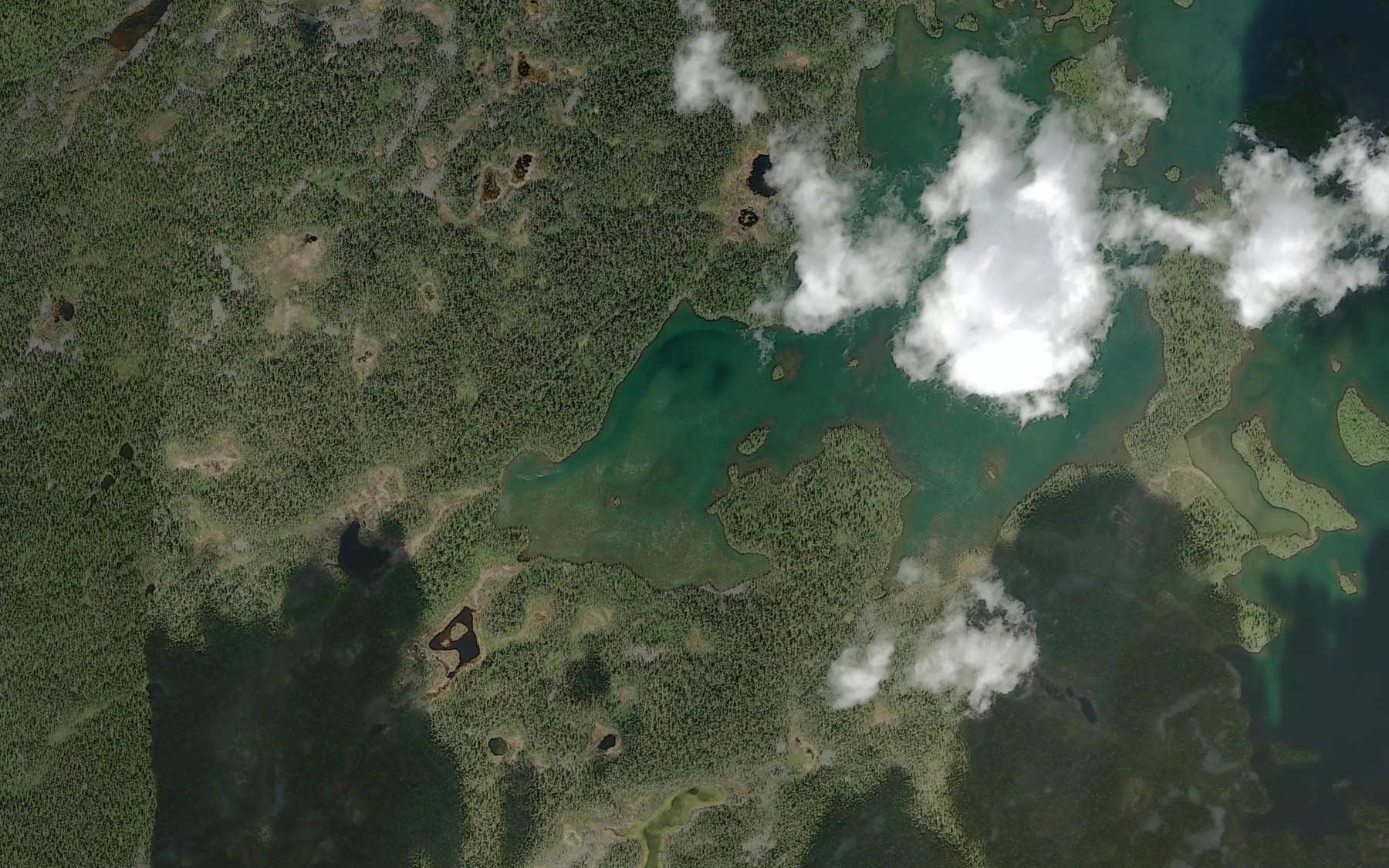 Satellite map of the Njammijavrcuaja