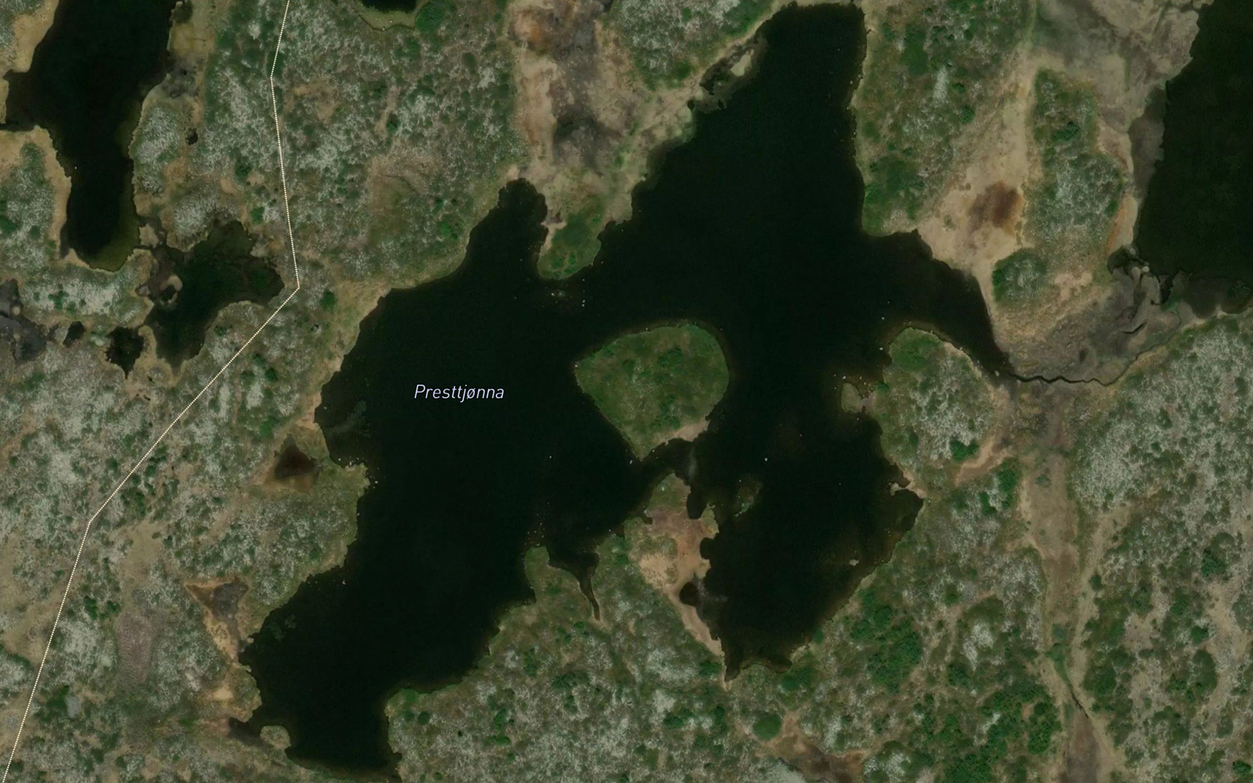 Presttjorna