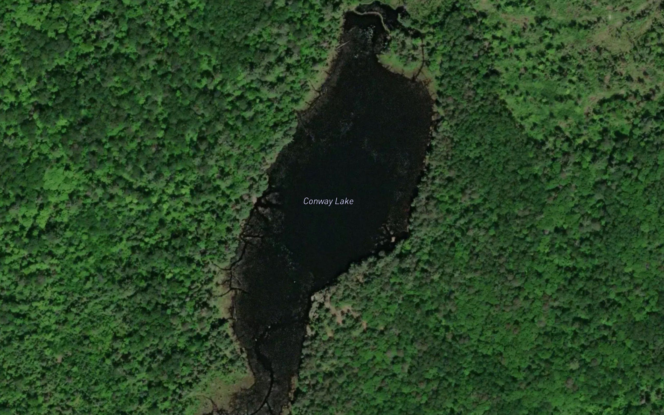 Conway Lake