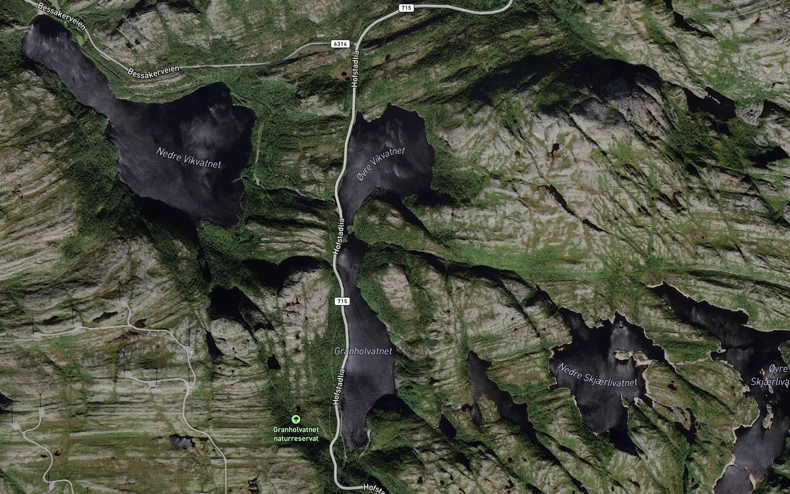 Skjerlivasselva