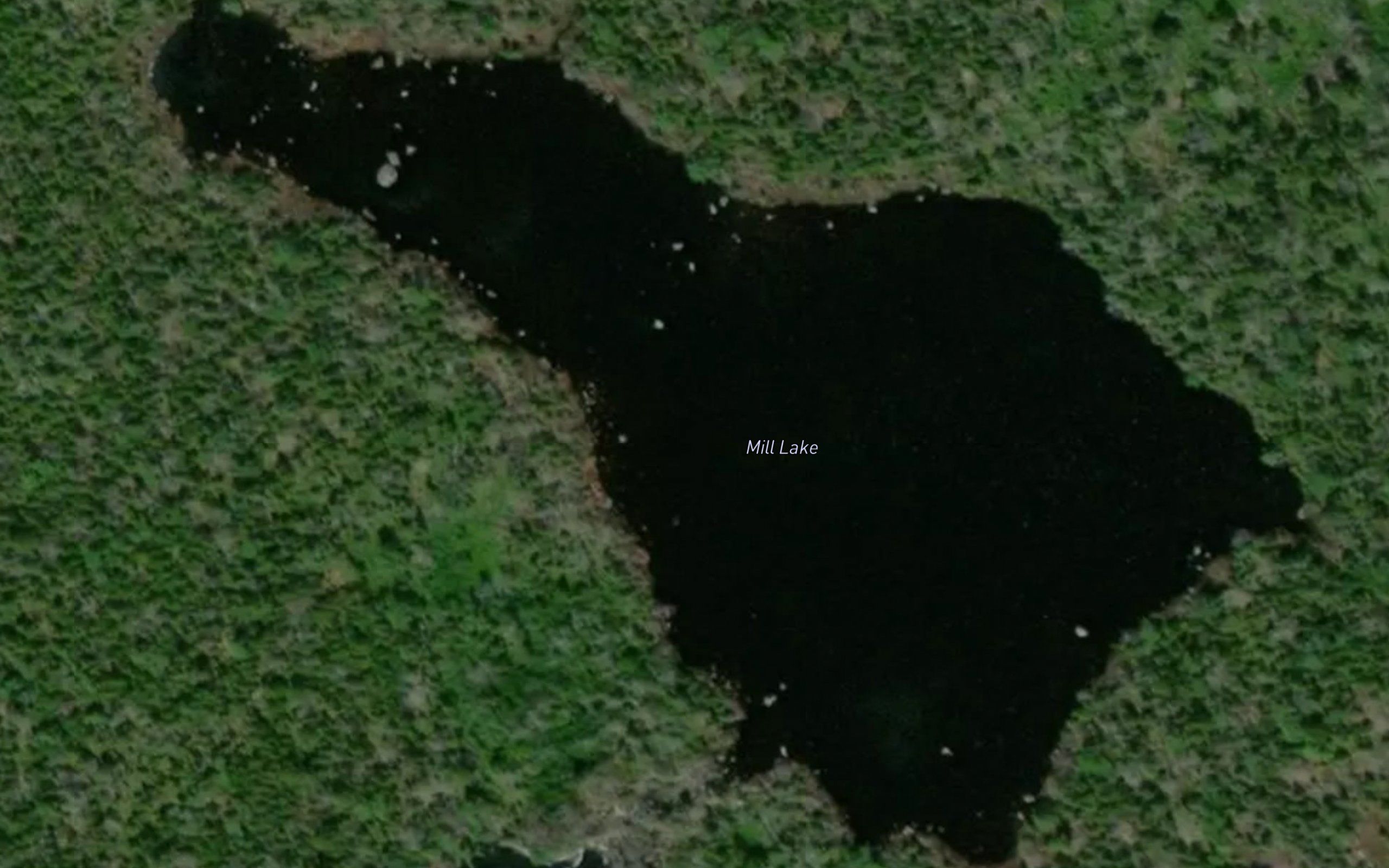 Mill Lake