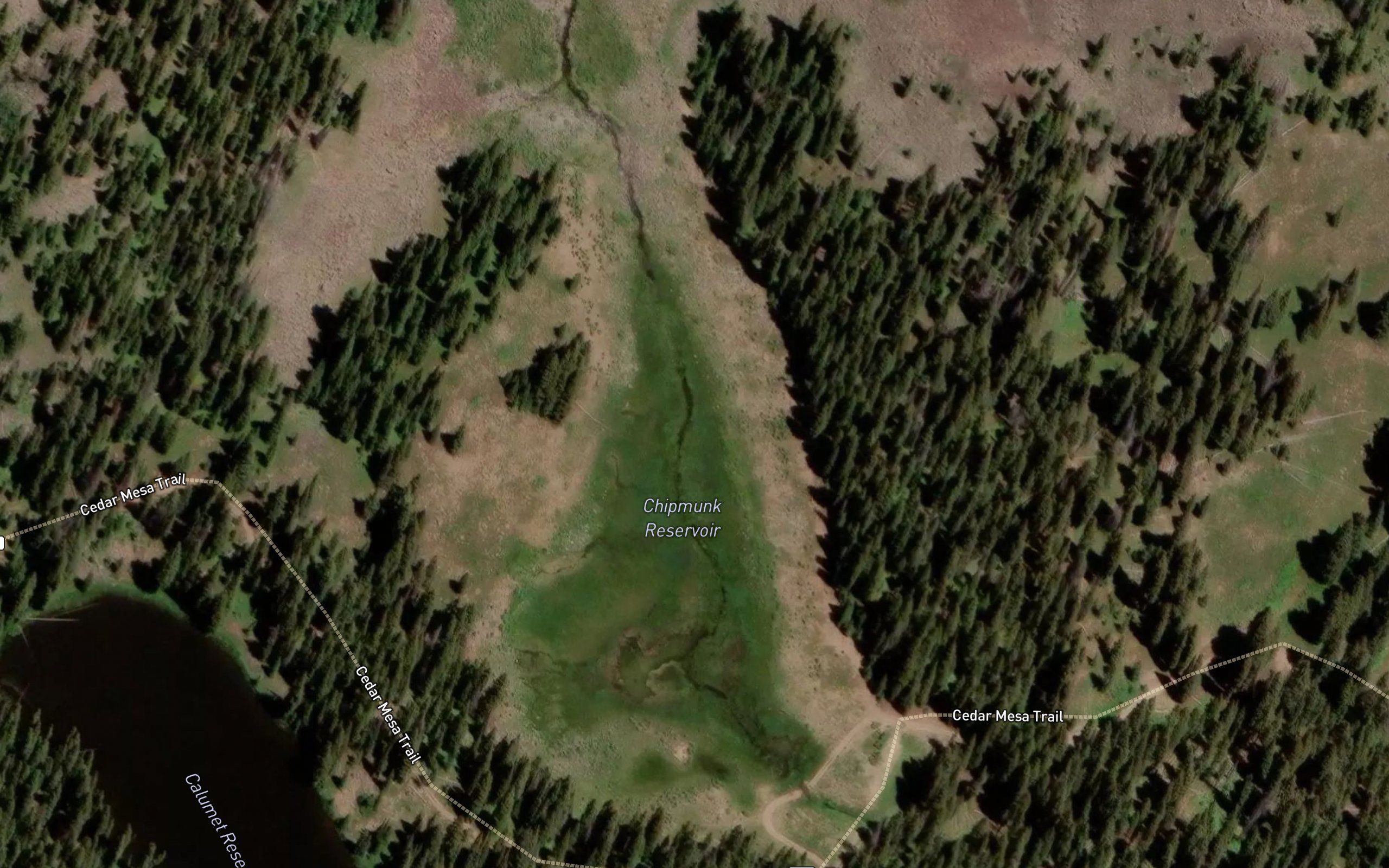 Chipmunk Reservoir