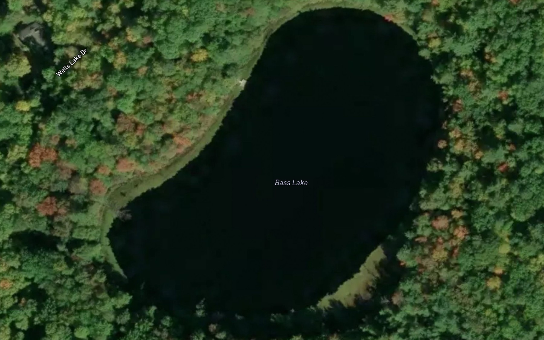 Satellite map of the Bass Lake