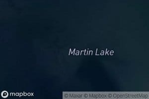 Martin Lake