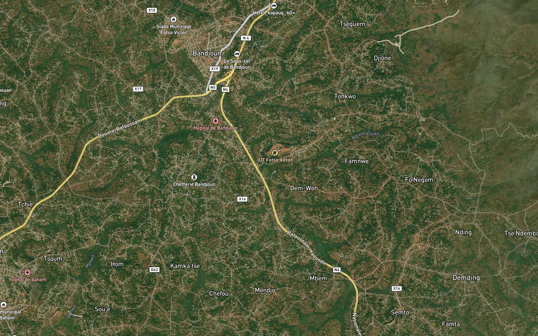 Satellite map of the Nguem Djinko