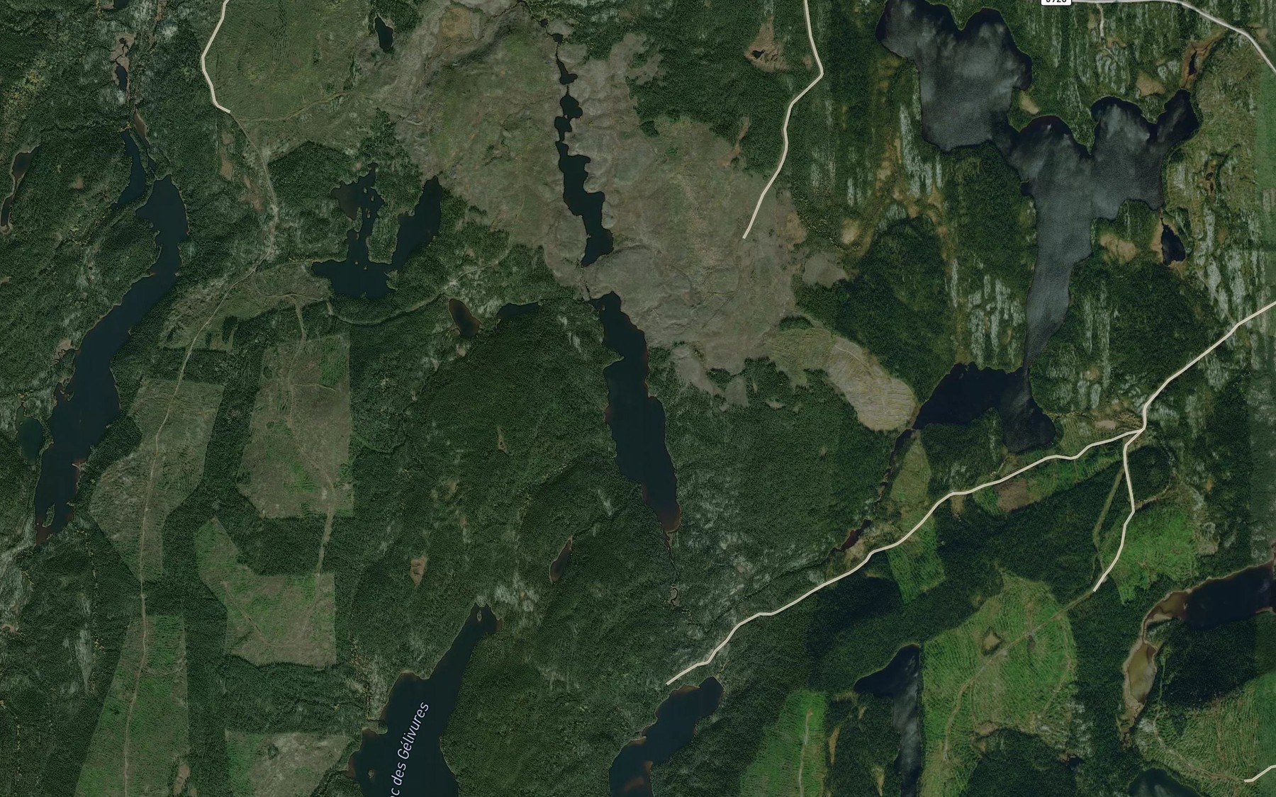 Satellite map of the Lac des Tordeuses