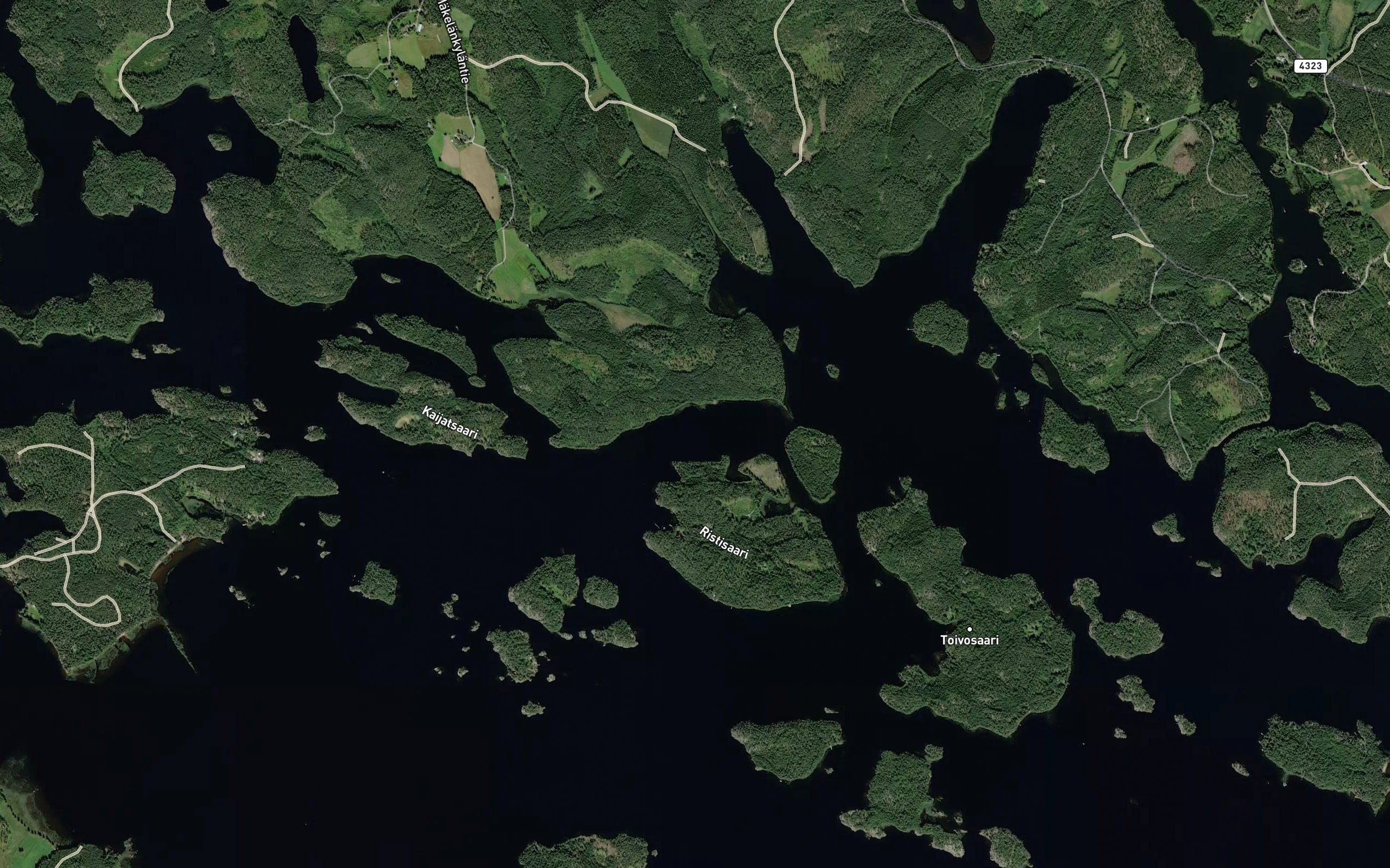 Silhosalmi