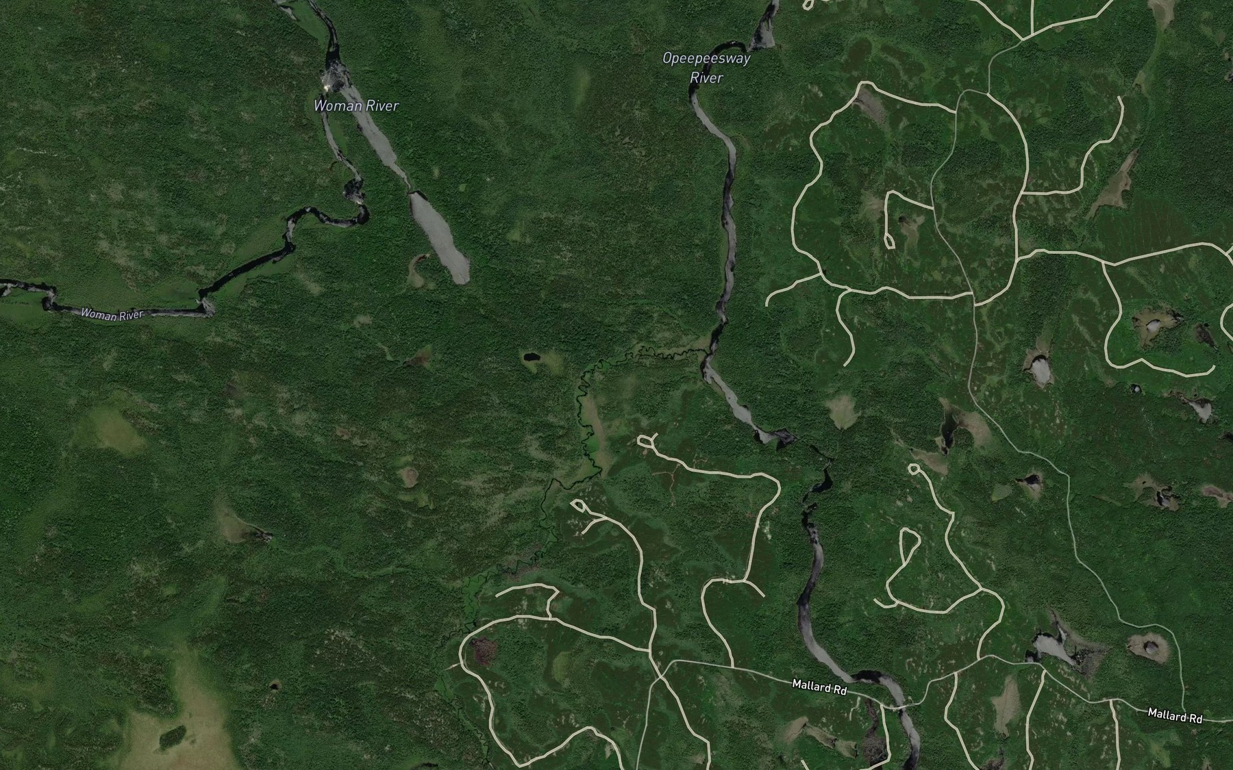 Satellite map of the Satterly Creek