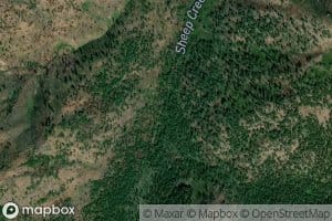 West Fork Sheep Creek