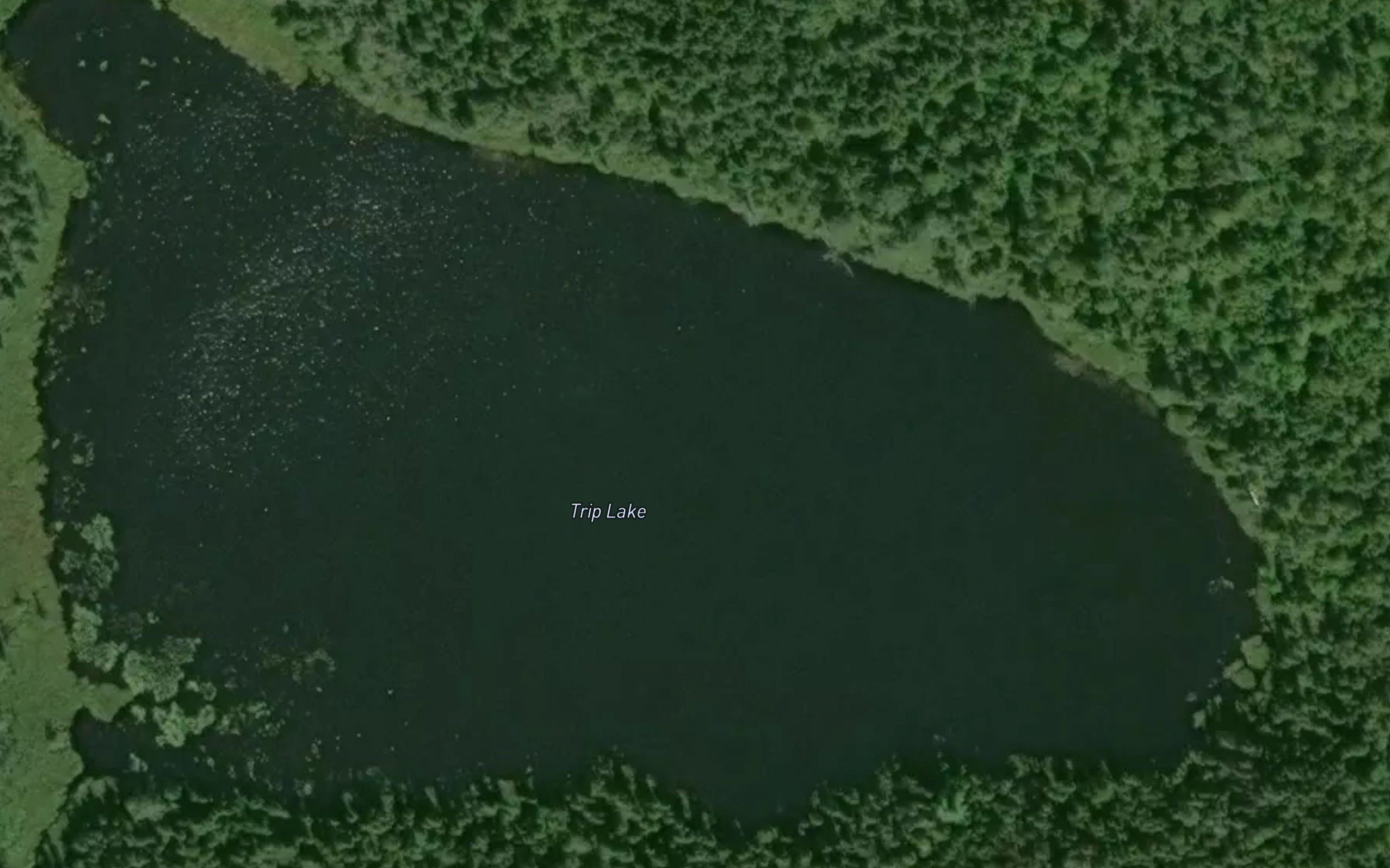 Trip Lake