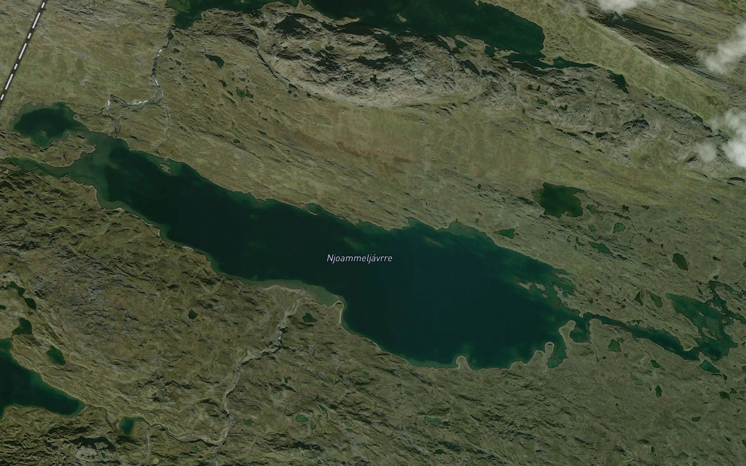 Njammeljaure
