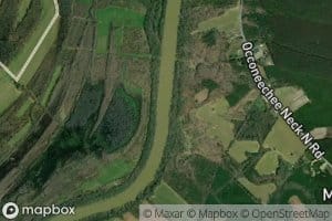 Mush Island Gut