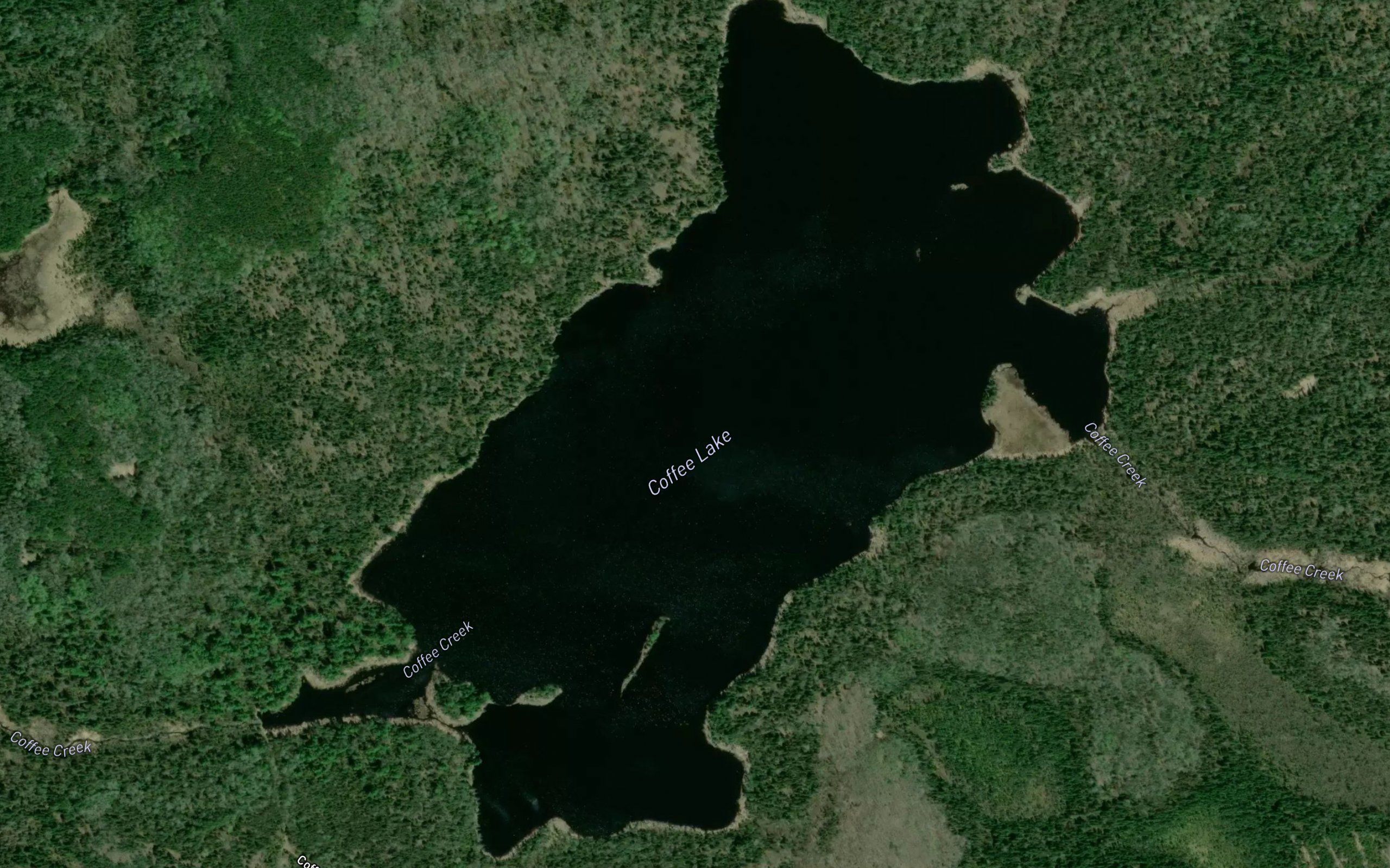 Coffee Lake