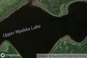 Lake Myakka