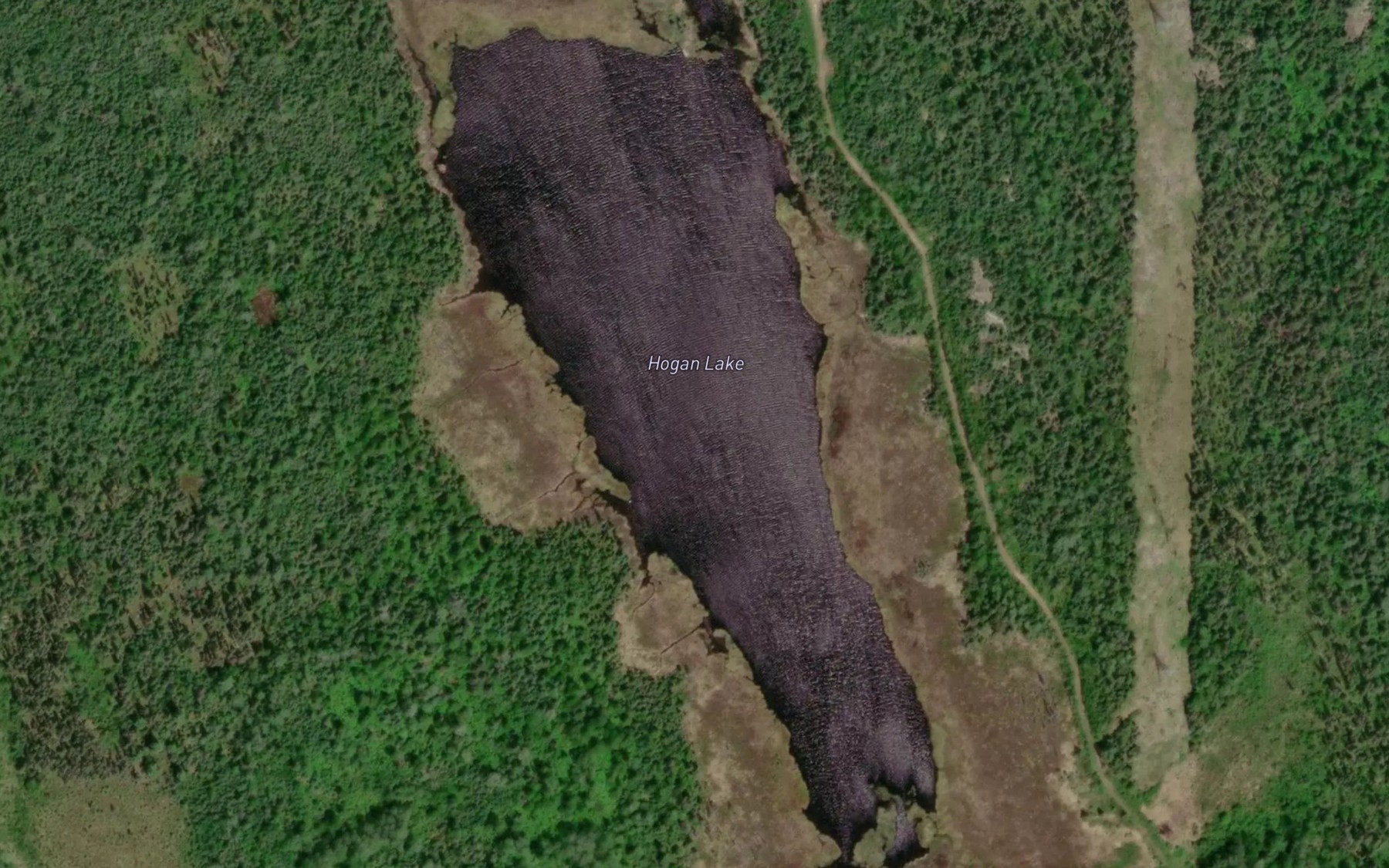 Satellite map of the Hogan Lake