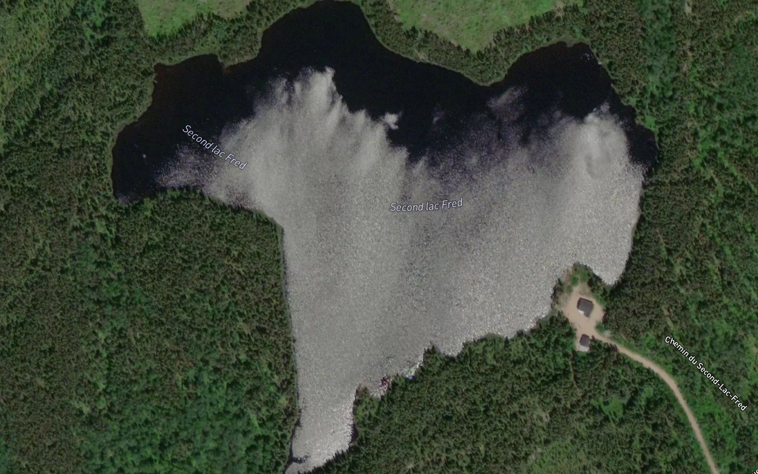 Second lac Fred