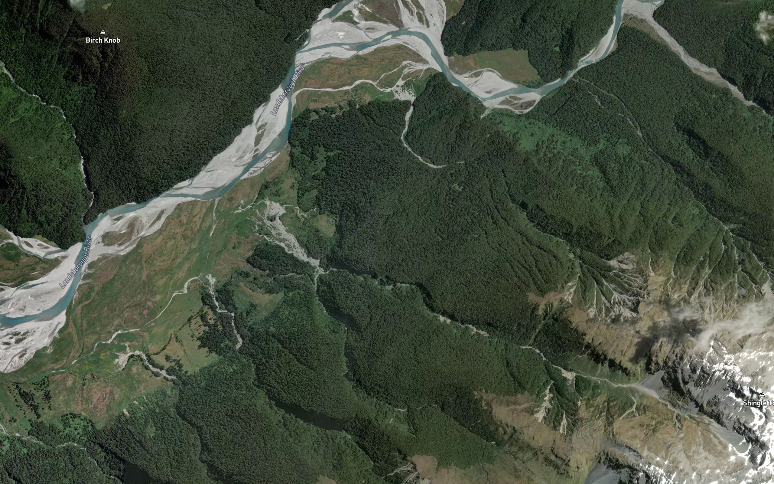 Parasite Creek