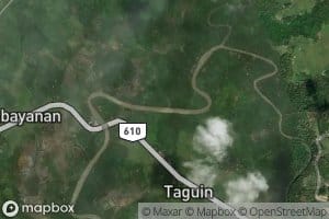 Bayong Creek