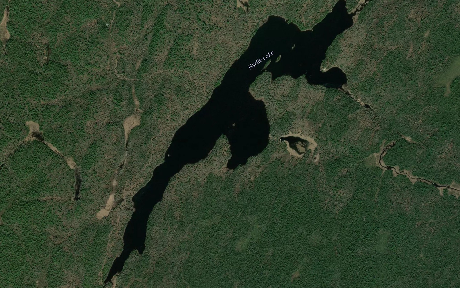 Satellite map of the Hartle Lake