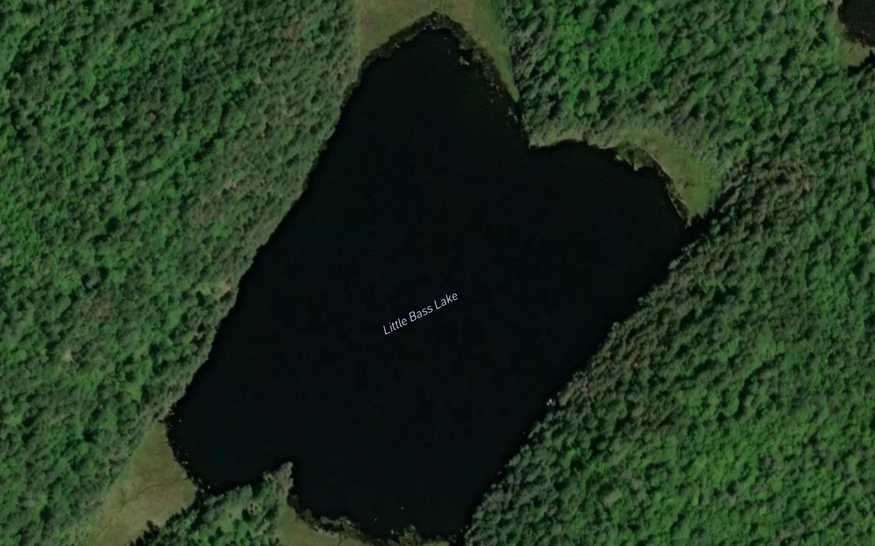Satellite map of the Little Bass Lake