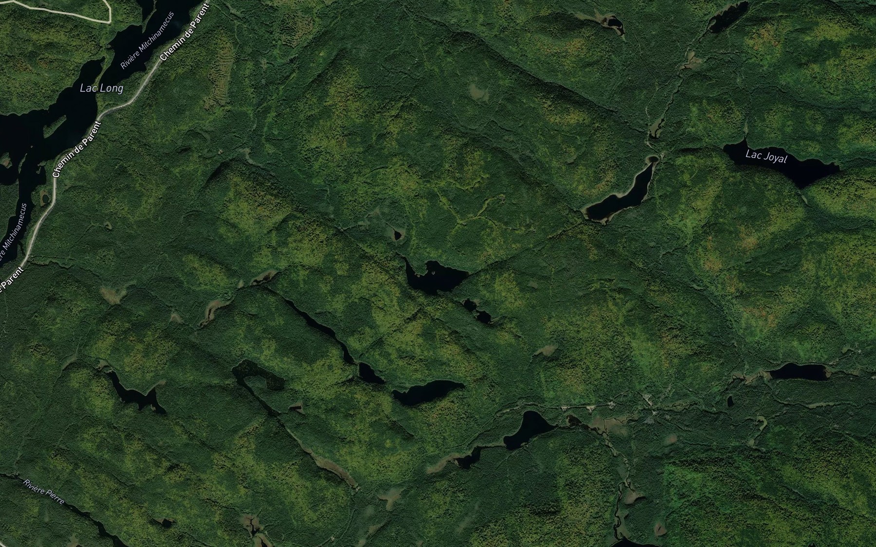 Satellite map of the Lac George