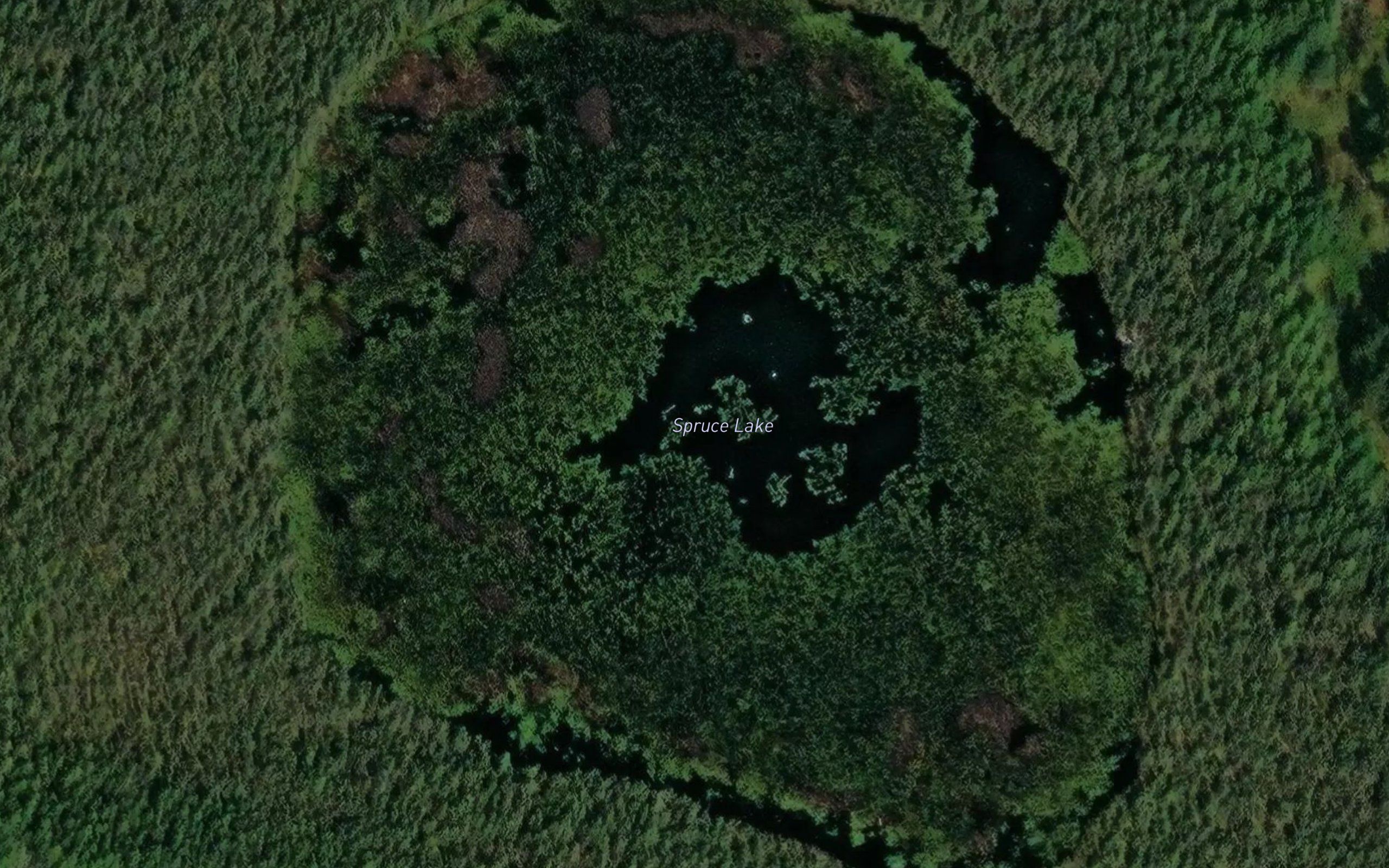 Spruce Lake