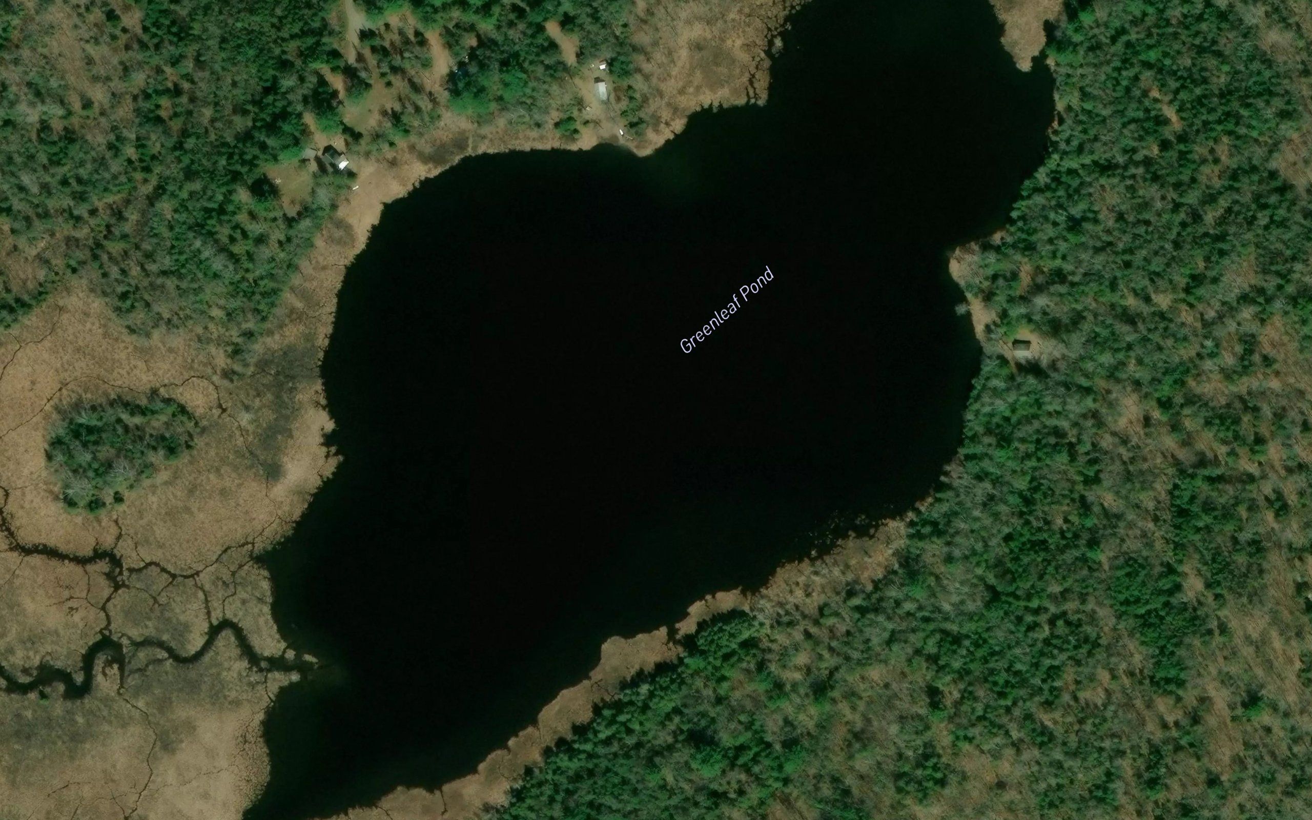 Greenleaf Pond