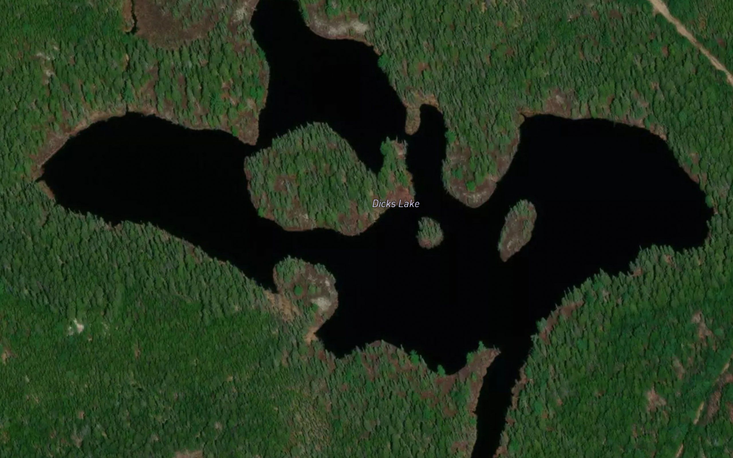 Dicks Lake