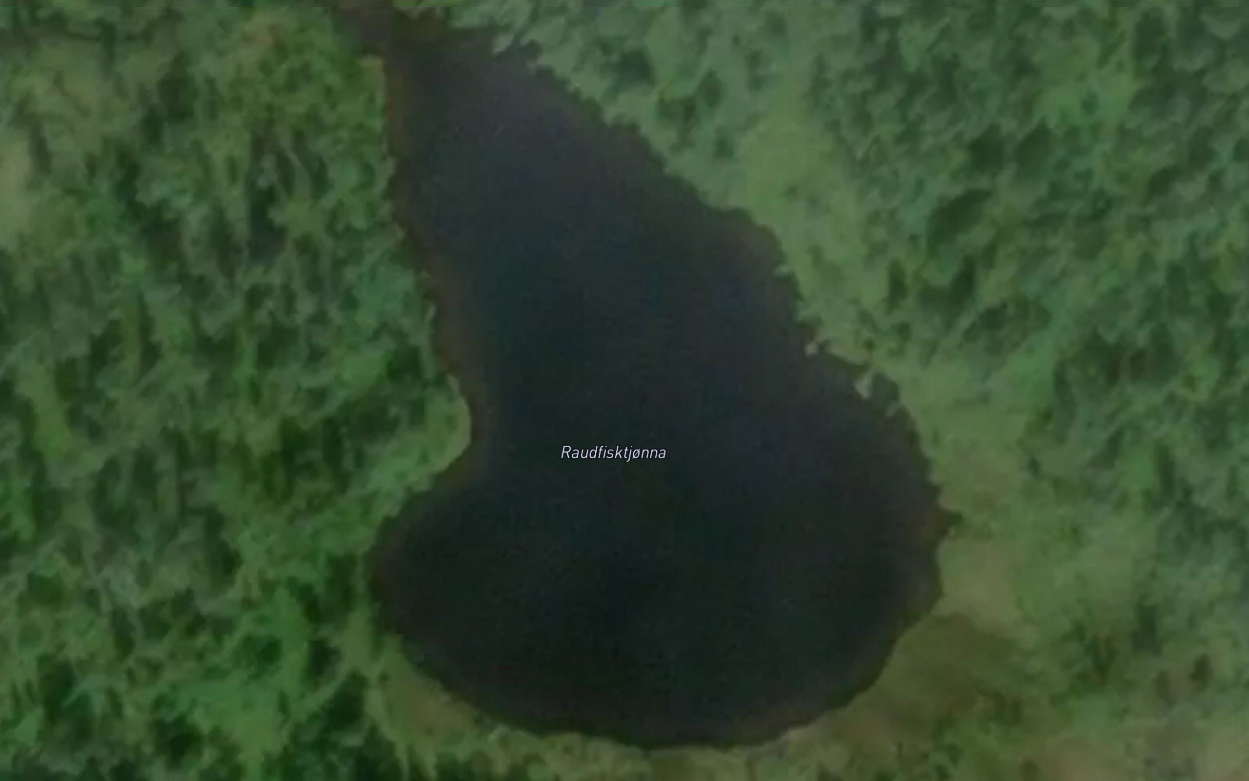 Raudfisktjorna