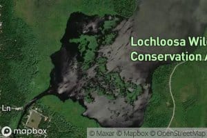 Little Lochloosa Lake