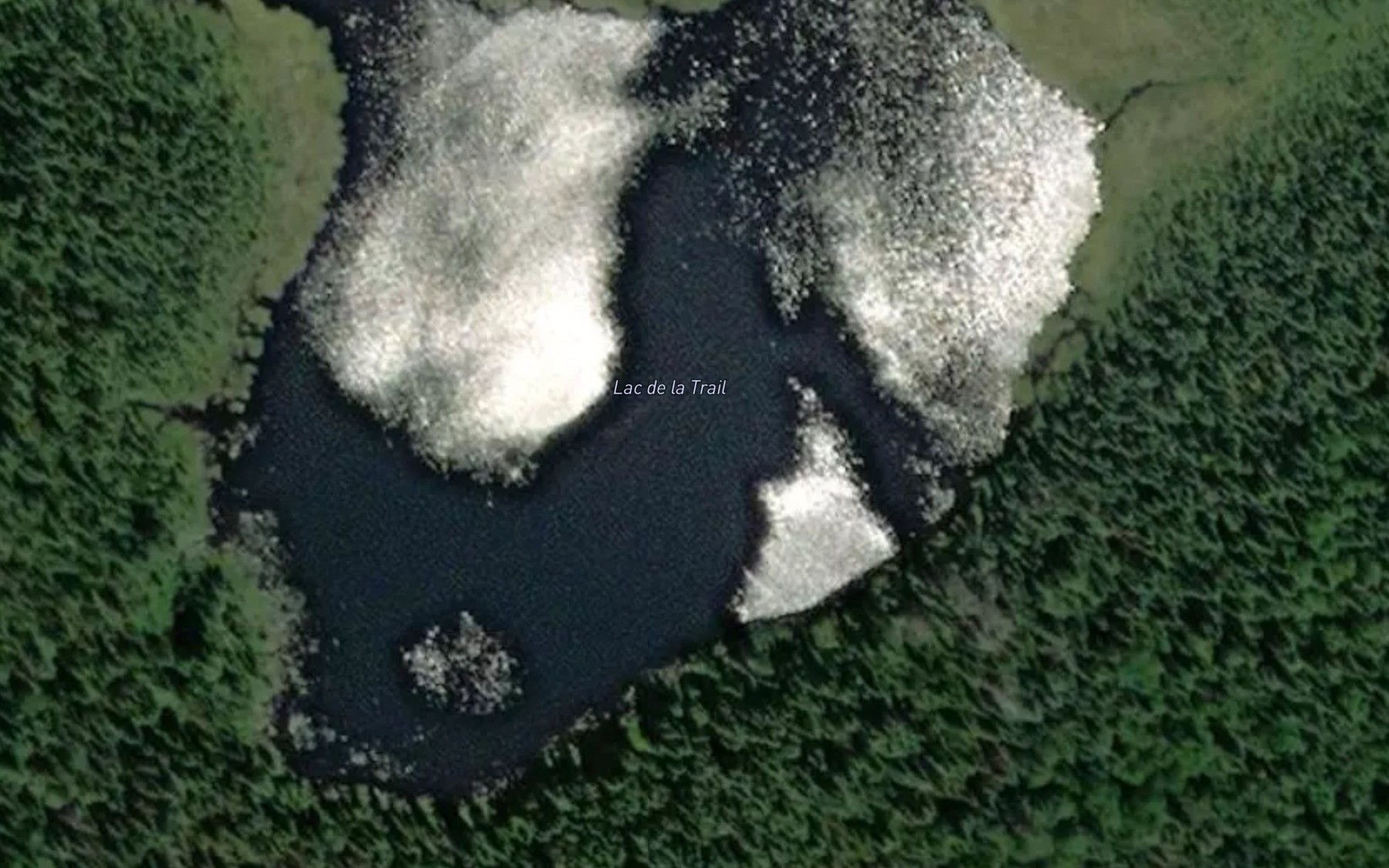 Satellite map of the Lac de la Trail
