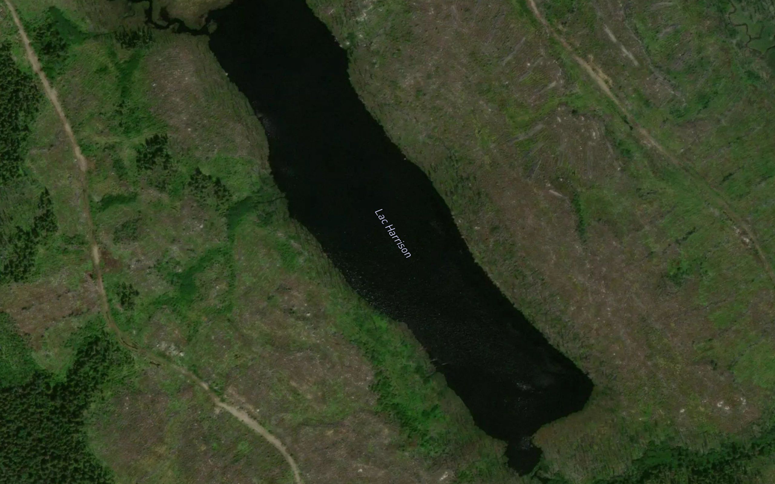 Lac Harrison