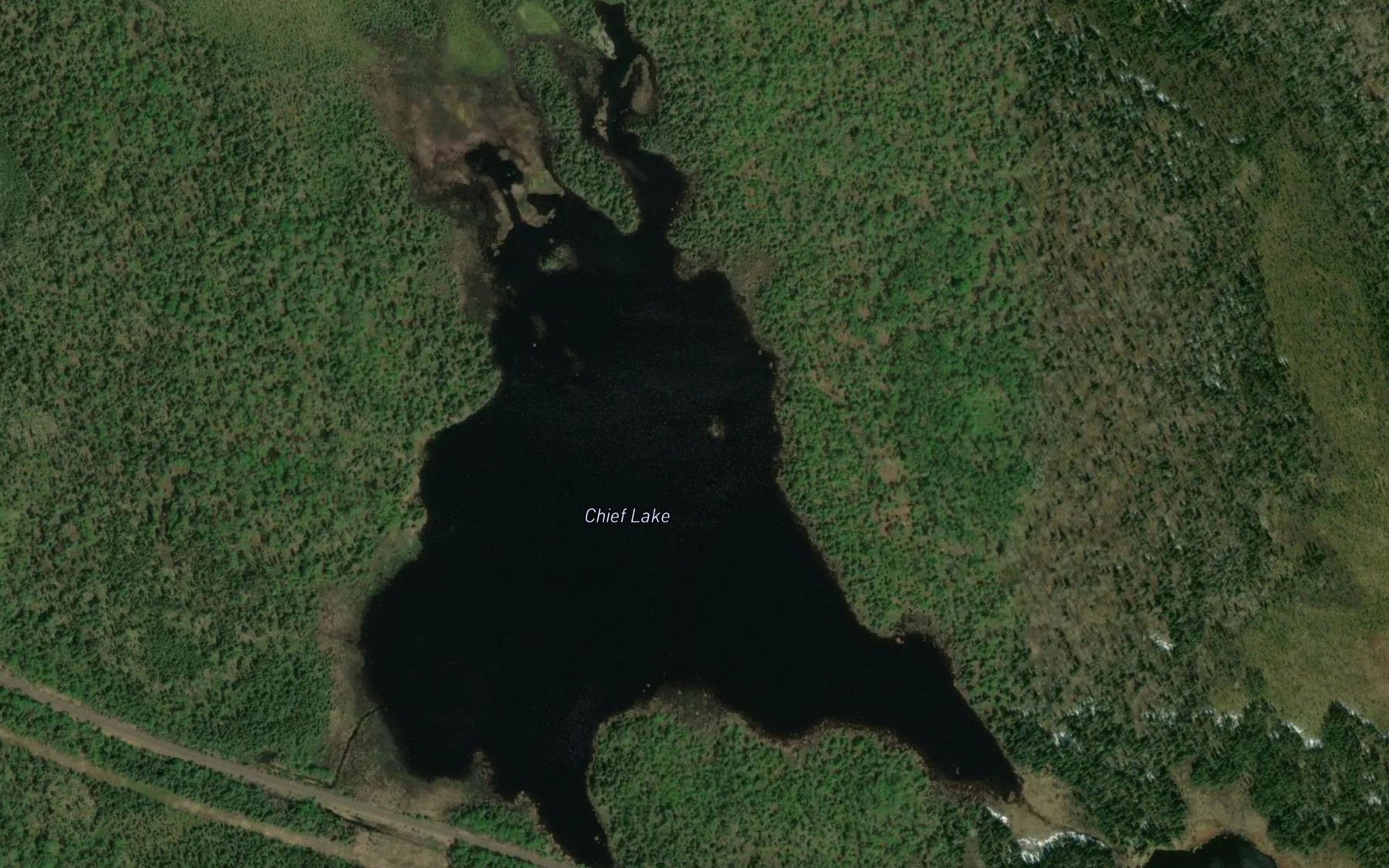 Satellite map of the Chief Lake