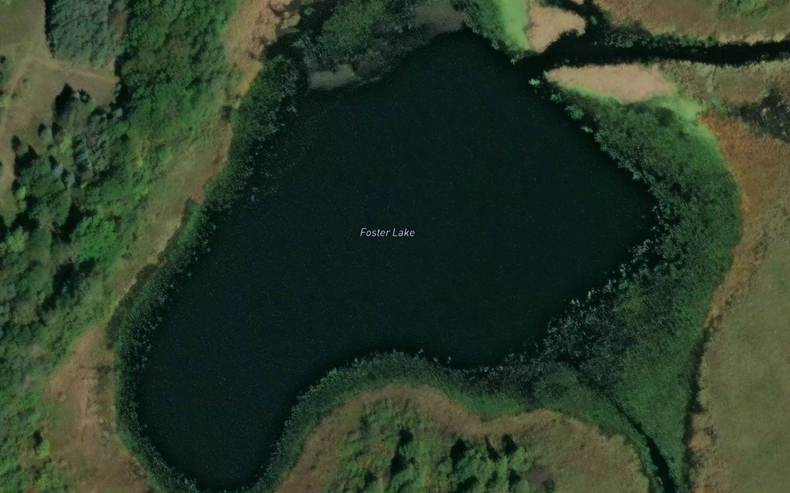 Foster Lake