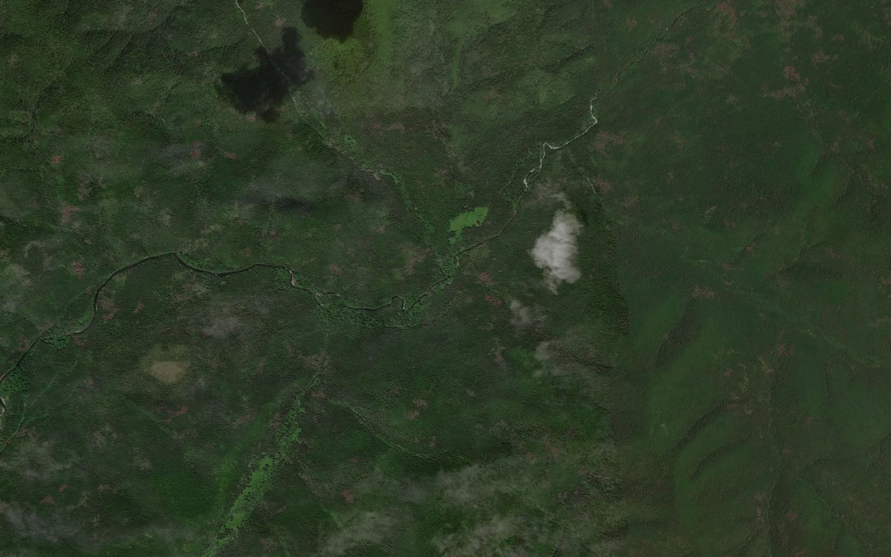 Satellite map of the Krivoy