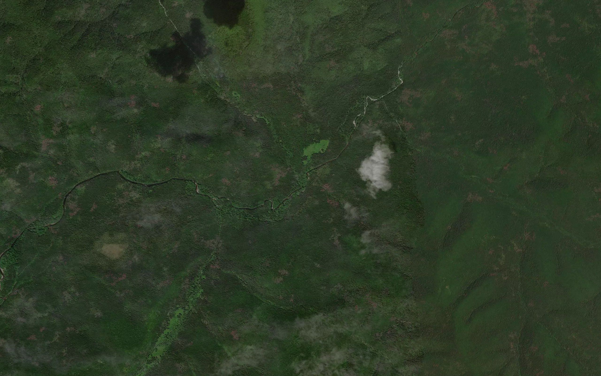 Krivoy