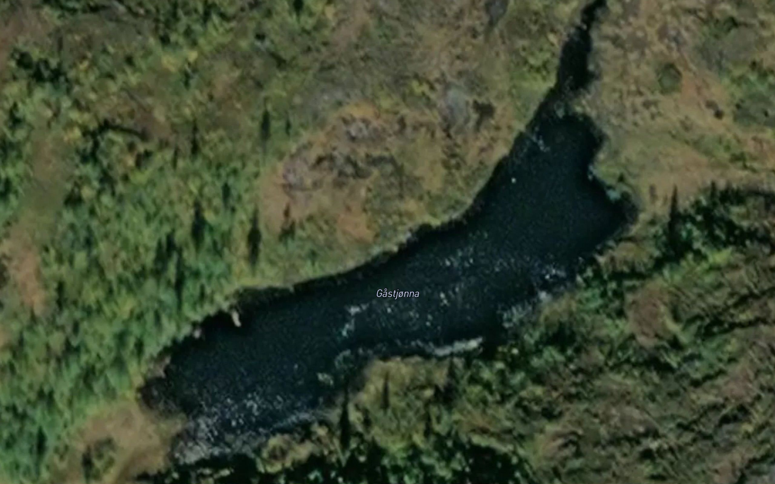 Gastjonna