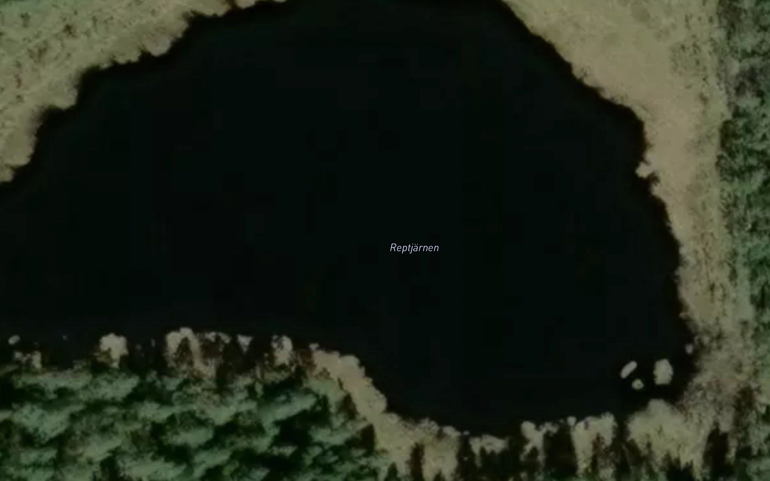 Reptjaern