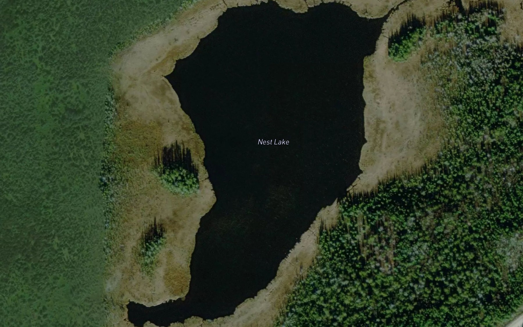 Satellite map of the Nest Lake