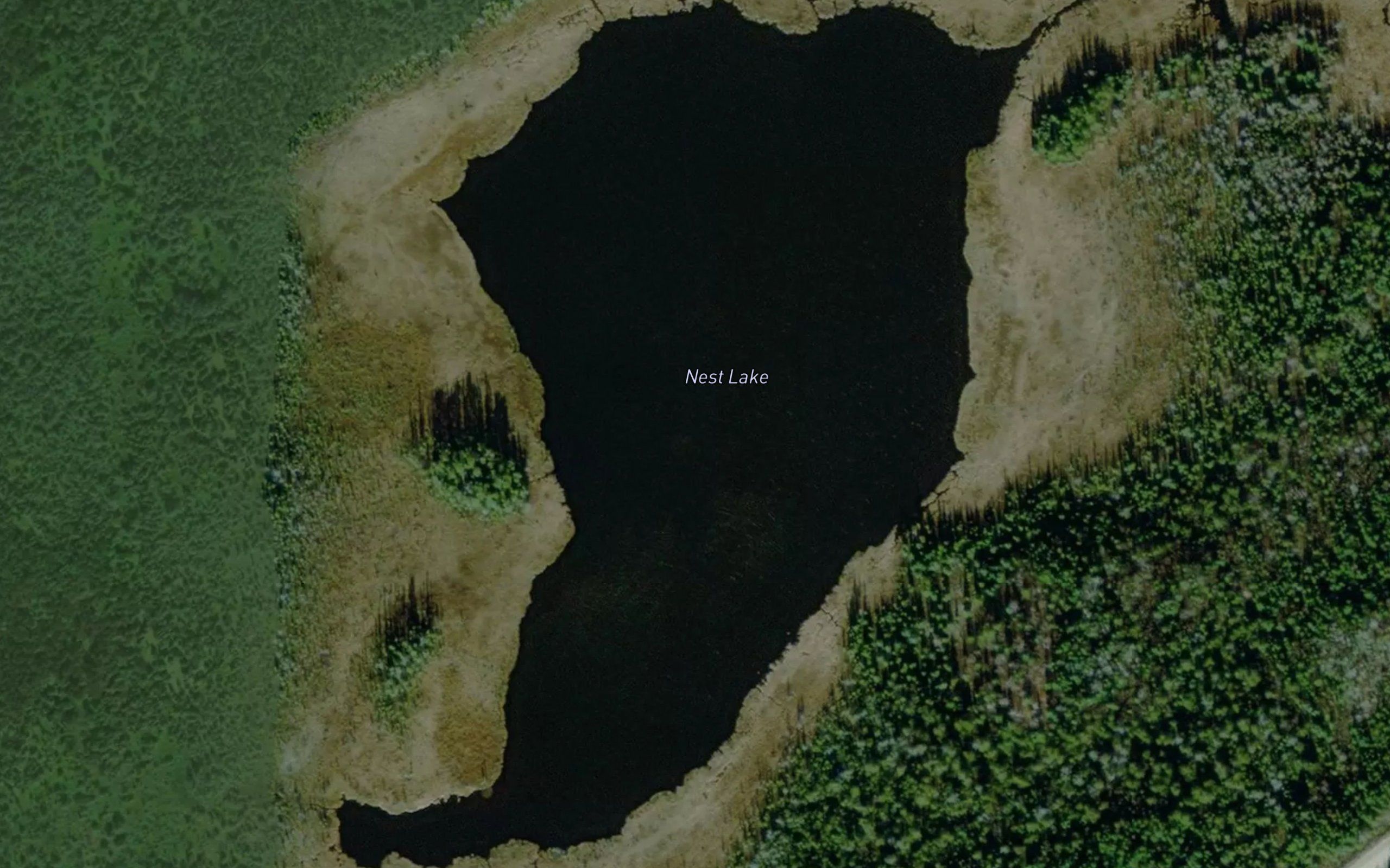 Nest Lake