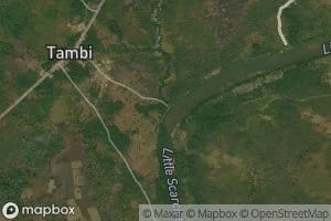Tambi